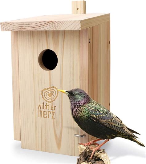 outdoor bird nesting boxes